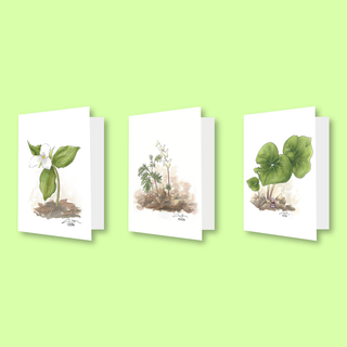 Ground Cover Greeting Cards Set (3 Cards)