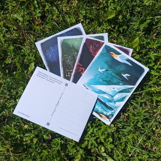 On the Way to Chrysopoeia - 5 illustrated postcards