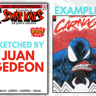 Swat Kats #1 | Sketched Cover By Juan Gedeon