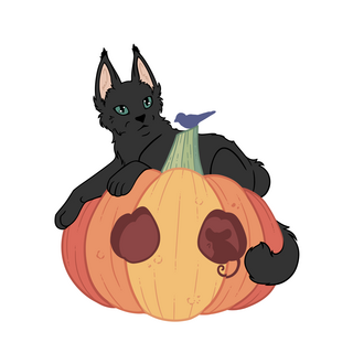 Clear Matte Vinyl Sticker