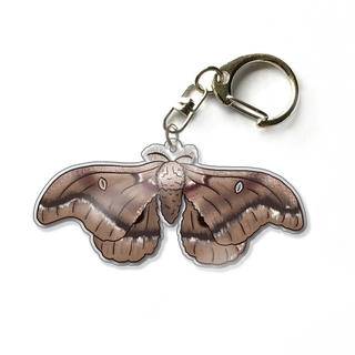 Polyphemus Moth 2.5" Acrylic Keychain Charm