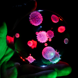 The Virus Cluster Sphere
