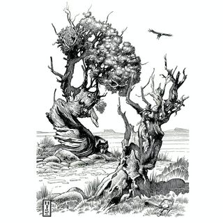 Murray Smoker Art Print