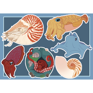 Cephalopod Sticker Sheet