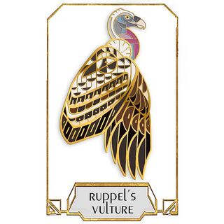 Ruppell's Griffon Vulture Pin