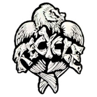 Recycle Vulture Enamel Pin