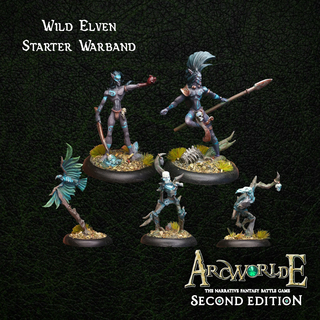(Metal) Wild Elf Starter Warband