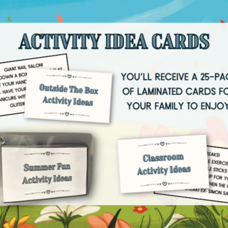 25 Laminated Activity Cards