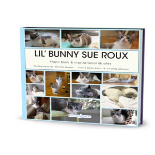 Roux Photo Inspirational Art Book