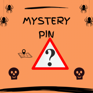 Mystery Pin