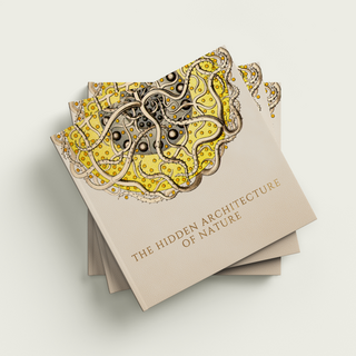 The Hidden Architecture of Nature Art Book