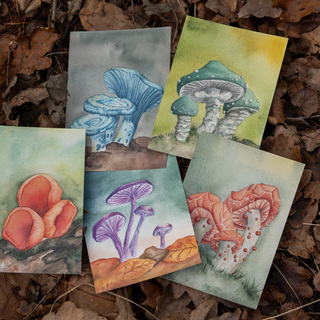 Art Print (5x): Full Mushroom set
