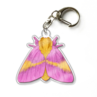 Rosy Maple Moth 2.5" Acrylic Keychain Charm