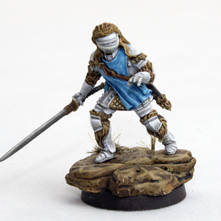 Questing Knight of Vidunar (Hero)