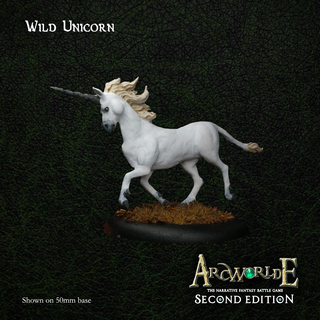 (Resin) Wild Unicorn