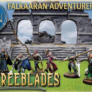 Falkaaran Adventurers Starter Set