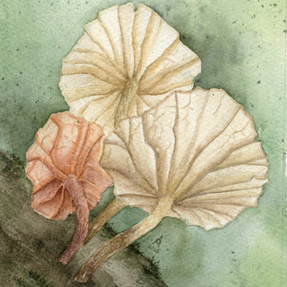 Print Fairy Parachute