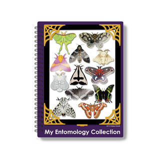 Entomology Collection Repositionable Sticker Book