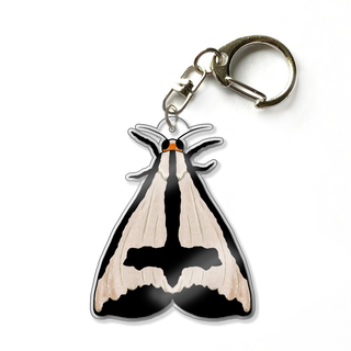 Clymene Moth 2.5" Acrylic Keychain Charm