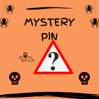 Mystery Enamel Pin