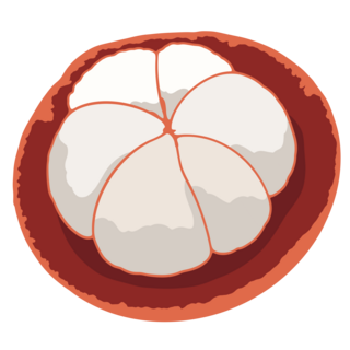 EX Early Bird Mangosteen
