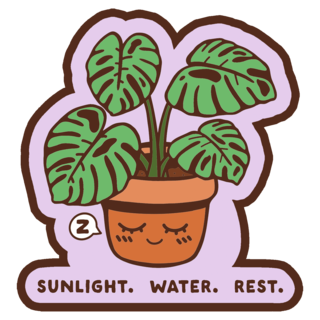 "Sunlight. Water. Rest." Enamel Pin