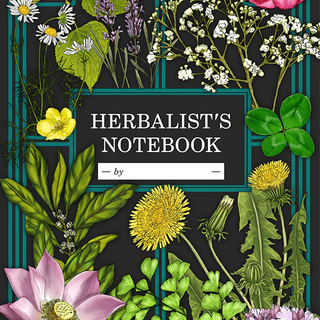The Herbalist's Notebook - Physical
