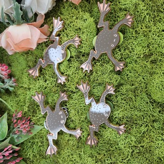 African Dwarf Frog Pin