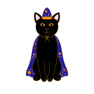 Wizard Cat