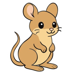 Desert Rat-Kangaroo Pin