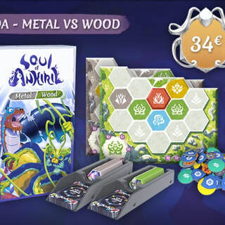 Soul of Ankiril - Metal vs Wood