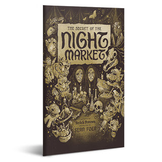 The Secret of the Night Market - Book
