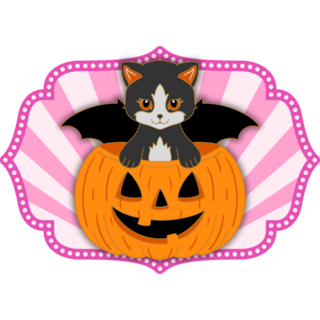 Gray Cat/Orange Pumpkin