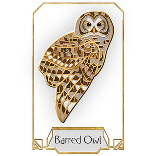 Barred Owl Pin