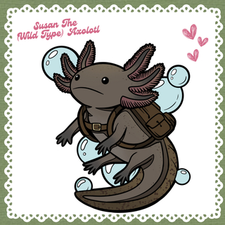 New Adventure Buddy Pin: Susan the Axolotl (Wild-type)