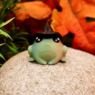 Witch's Froggo Familiar