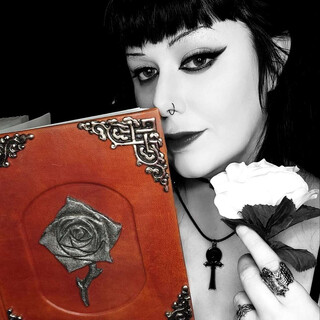 Toreador Premium Journal