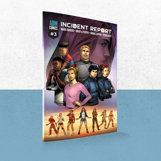 Incident Report Issue #3