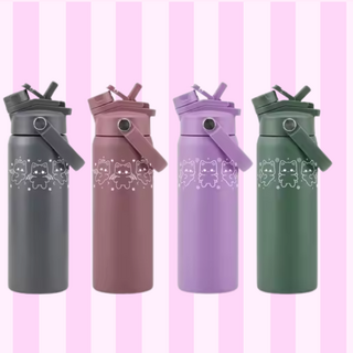 24oz Stainless Steel Water Bottle