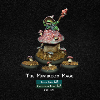 The Mushroom Mage