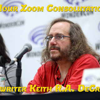 1-Hour Writing Zoom Consultation
