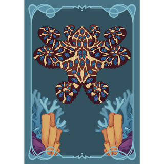 Cephalopod Notebook A6