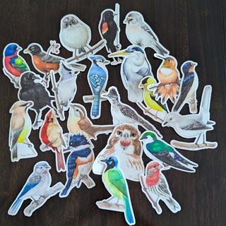 Birdtober 2024 Sticker of Choice X10