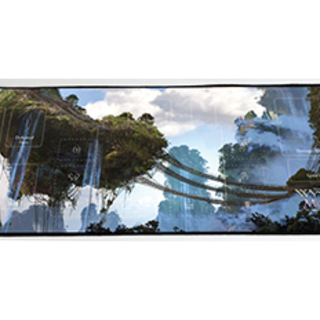 Wyvern Moor 2-Sided Playmat