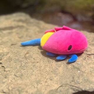 Pansexual Horseshoe Crab