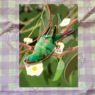 Swift Parrot Enamel Pin