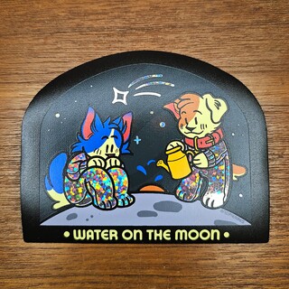 PINTOPIA 2025 - WATER ON THE MOON Sticker
