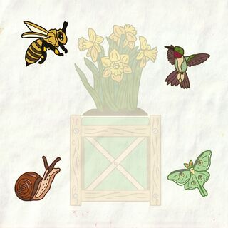 Pollinator Mini Pin Set