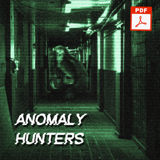 Digital Anomaly Hunters