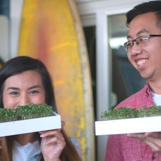 Add ANOTHER EcoQube Sprout to your order for 28% OFF (that's only $18)!